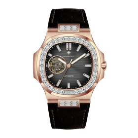 Alexander Ferros 6091R/01