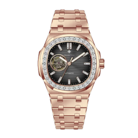 Alexander Ferros 6091R/01